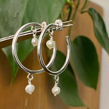 Load image into Gallery viewer, Pearl Hoops