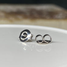 Load image into Gallery viewer, Spare Earring Backs